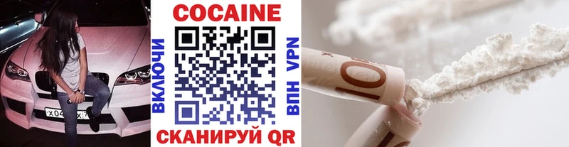 Купить закладки  Вилюйск  Кокаин Fish Scale 