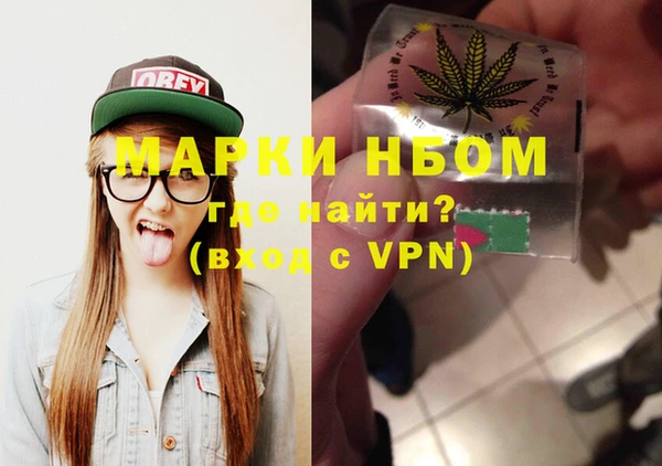индика Волоколамск