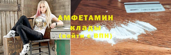 индика Волоколамск